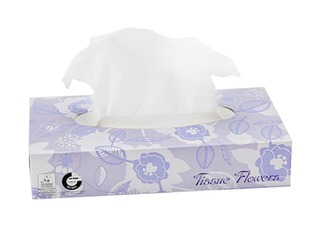 Kosmētiskās salvetes Celtex Tissue Flowers, 2 kārtas, 100 salv.