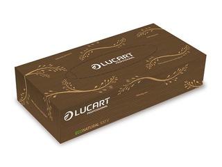 Kosmētiskās salvetes Lucart EcoNatural V, 100 gab.