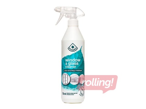 Stiklu tīrīšanas līdzeklis, 730ml