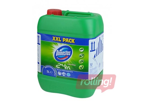 Dezinfekcijas tīrīšanas līdzeklis Domestos Professional, Pine Fresh, 5L 
