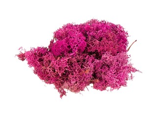 Stabilizētas sūnas, 300g, rozā