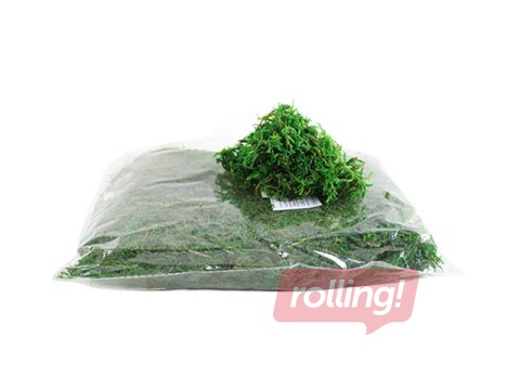 Dekoratīvās sūnas, zaļas, 100g