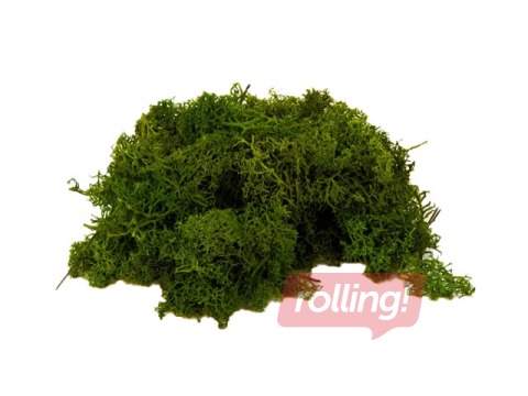 Stabilizētas sūnas, 300g, tumši zaļas