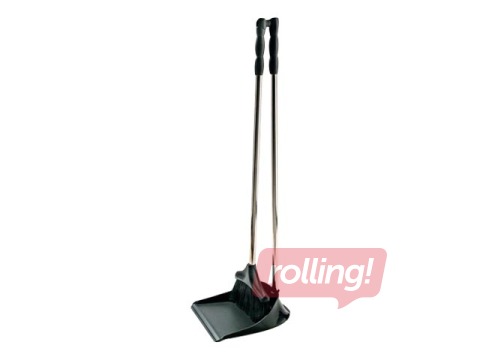 Saslauku liekšķere ar birsti kātā melna