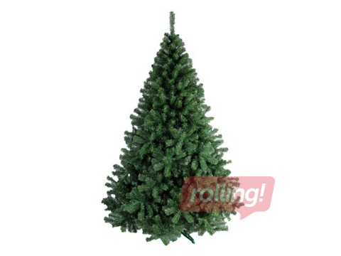 Egle mākslīgā Dakota, 150cm