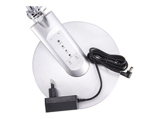 Galda lampa RAMZES, LED, 7.5W, sudraba