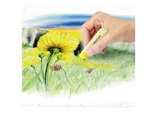 Pasteļkrītiņi mīkstie Staedtler 2430, 36 krāsas