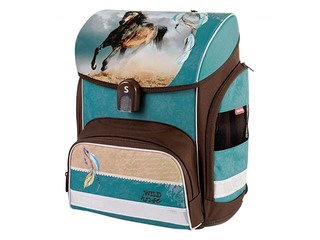 Mugursoma Wild Horse