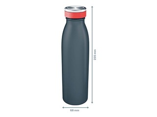 Ūdens pudele termosa Leitz Cosy, nerūsējošā tērauda, pelēka, 500ml