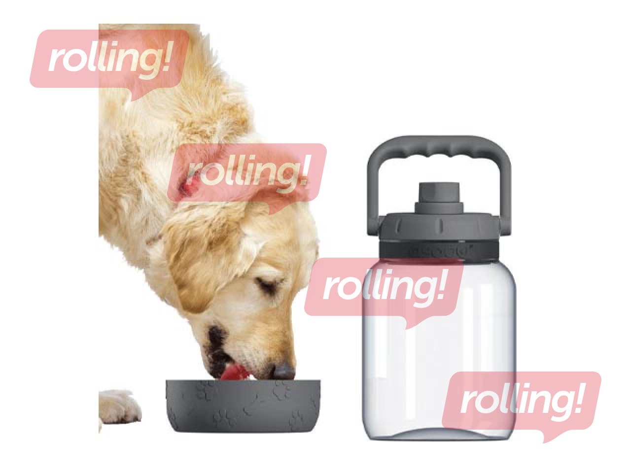 Ūdens pudele suņiem Asobu Barkley, TWB21, pelēka, 1l