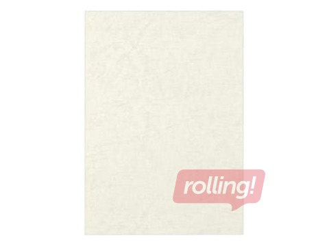 Iesiešanas priekšvāks Fellowes, A3, 200 g/m2, 100 gab., caurspīdīgs