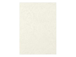 Iesiešanas priekšvāks Fellowes, A3, 200 g/m2, 100 gab., caurspīdīgs