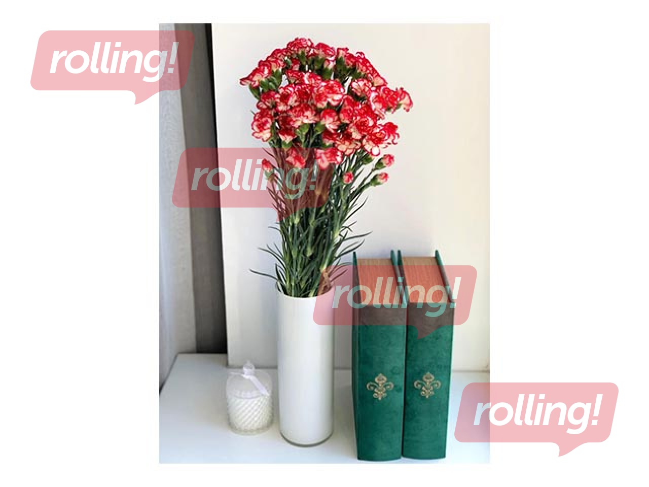 Neļķes Minuetto, 60cm, 19 gab.