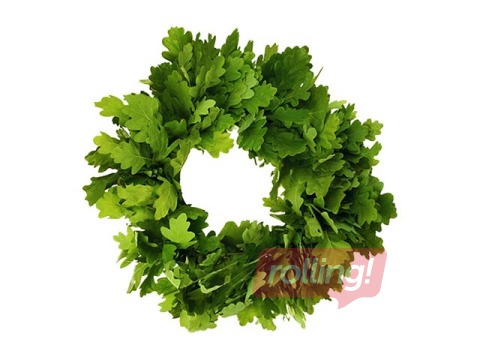 Ozollapu vainags, sasienams, Ø25cm