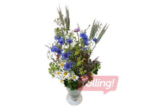 Jāņuzāļu pušķis