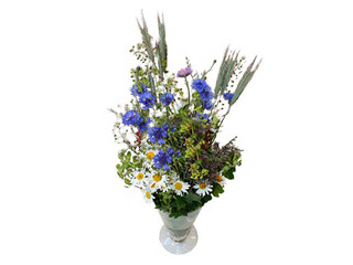 Jāņuzāļu pušķis