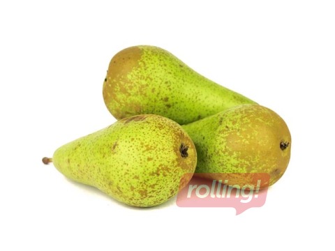 Bumbieri Conference,45+, 1 šķira, 1 kg, mazie