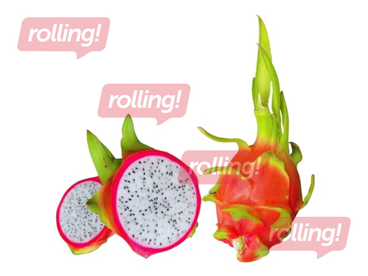 Pitaija sarkana ar baltu vidu, 1 gab.