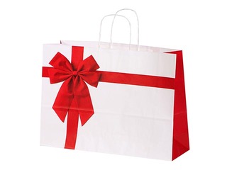 Dāvanu maisiņš papīra Rosette, 550x150x490mm, balts