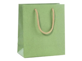 Papīra maisiņš ar rokturiem, 220x100x290 mm, salviju zaļš